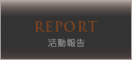 REPORT